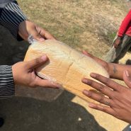 434057375_798887488941097_5869840894116740081_n